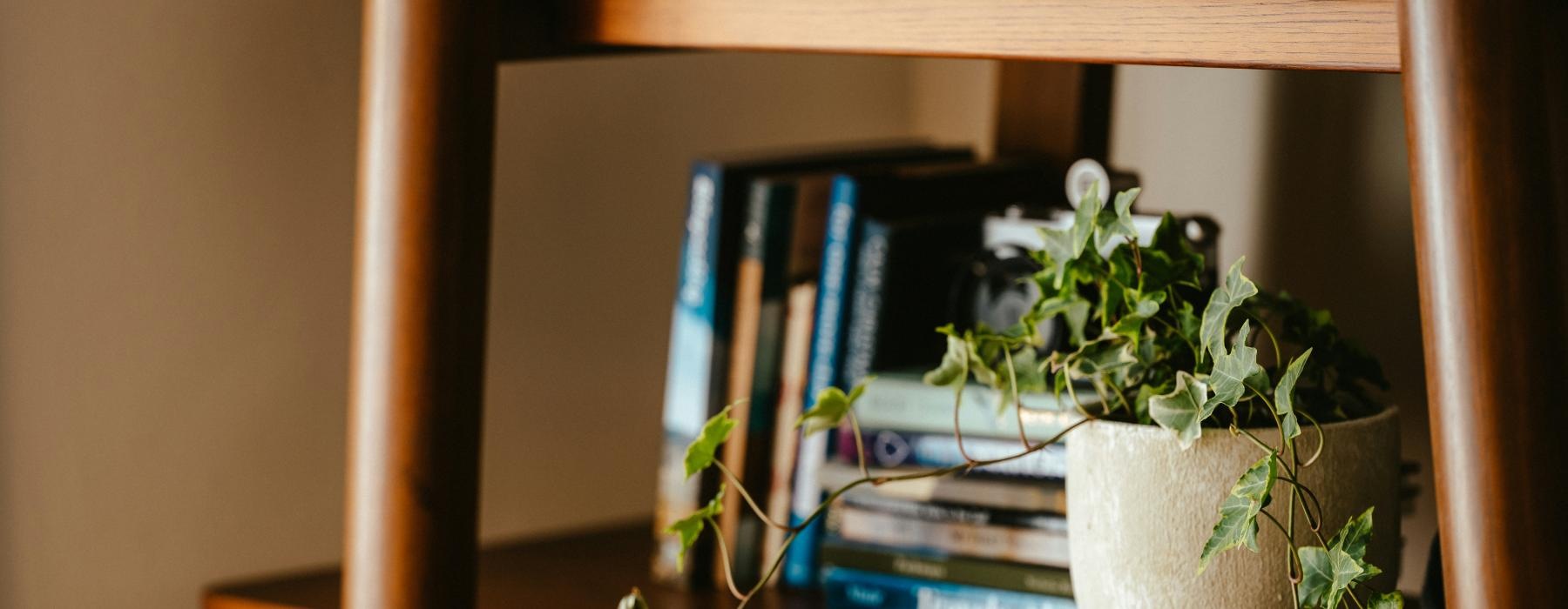 a shelf with a plant and books on it